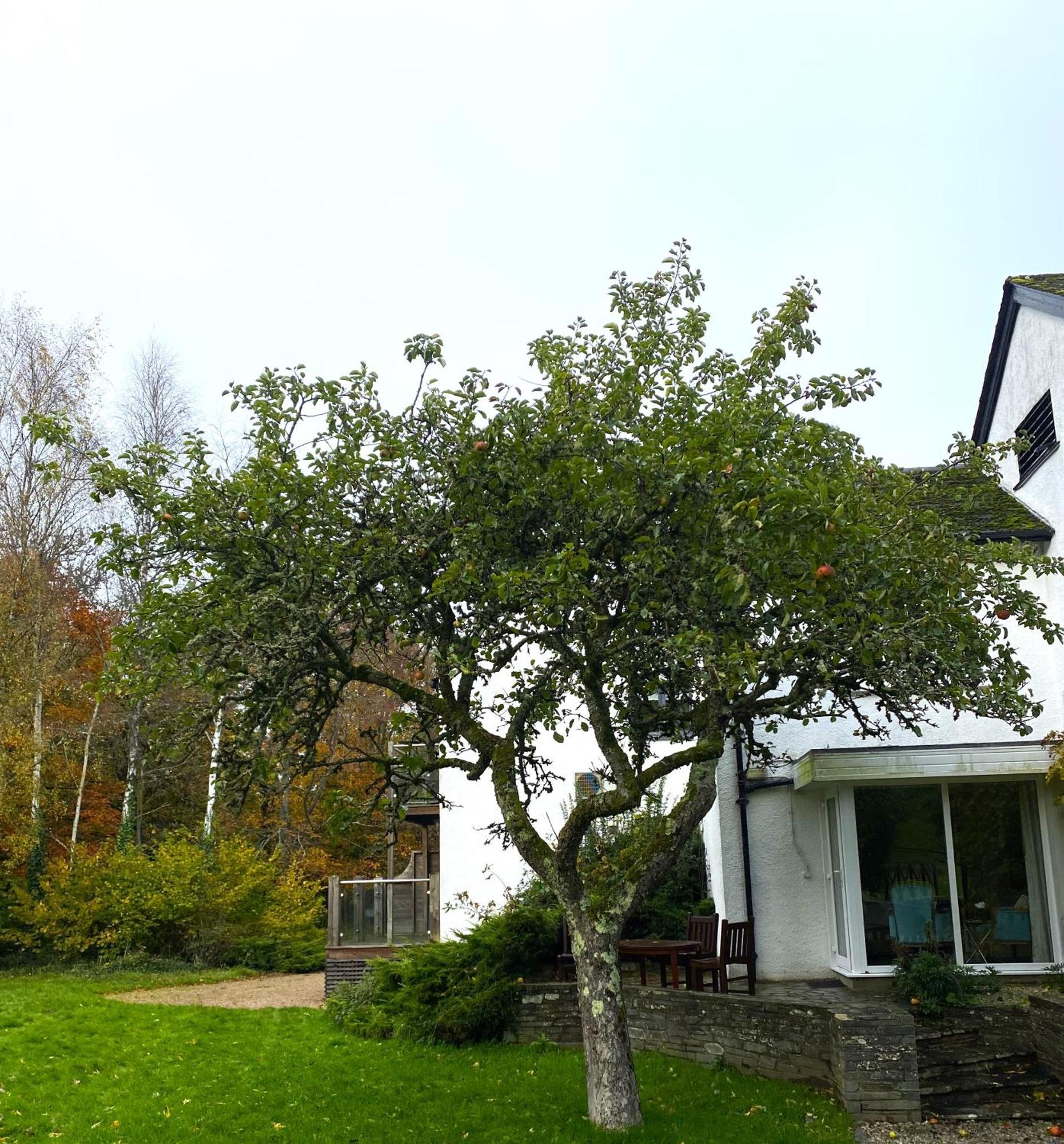Mill End Hotel Chagford Exterior photo